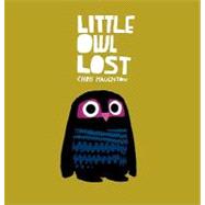 Little Owl Lost
