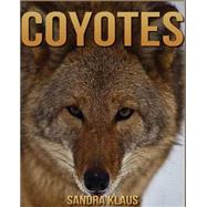 Coyotes