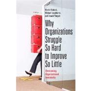 Why Organizations Struggle So Hard to Improve So Little
