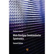 Wide Bandgap Semiconductor Spintronics