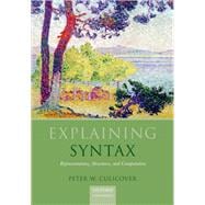 Explaining Syntax Representations, Structures, and Computation