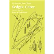 Sedges: Carex