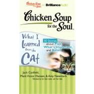 Chicken Soup for the Soul What I Learned from the Cat: 30 Stories About Play, What's Important, and Belief