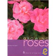 Growing Roses and How to Use and Arrange Them