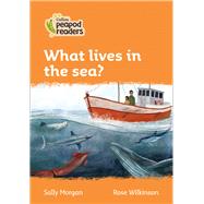 Collins Peapod Readers – Level 4 – What lives in the sea?