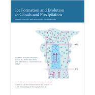 Ice Formation and Evolution in Clouds and Precipitation