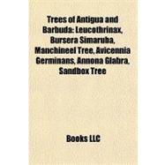Trees of Antigua and Barbud : Leucothrinax, Bursera Simaruba, Manchineel Tree, Avicennia Germinans, Annona Glabra, Sandbox Tree