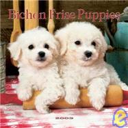 Bichon Frise Puppies Mini 2003 Calendar