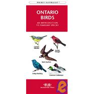 Ontario Birds