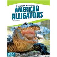 American Alligators
