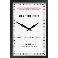 Why Time Flies A Mostly Scientific Investigation