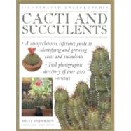 Cacti and Succulents