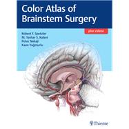 Color Atlas of Brainstem Surgery