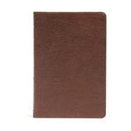 CSB Seven Arrows Bible, Brown LeatherTouch