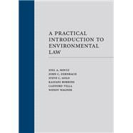 Environmental Enforcement (Paperback)