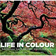 Life in Colour National Geographic Photographs