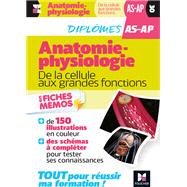 L'anatomie - physiologie - AS/AP - Aide-Soignant, Auxiliaire de puériculture - Révision