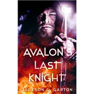 Avalon's Last Knight