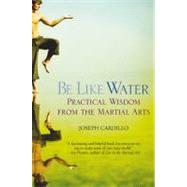 Be Like Water Practical Wisdom from the Martial Arts