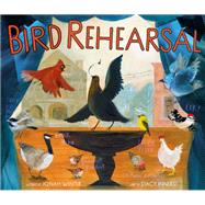 Bird Rehearsal A Picture Book