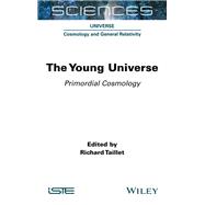 The Young Universe Primordial Cosmology