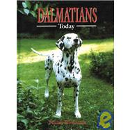Dalmatians Today