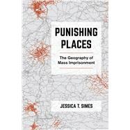 Punishing Places: The Geography of Mass Imprisonment