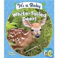 It's a Baby White-tailed Deer