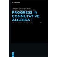 Progress in Communicative Algebra