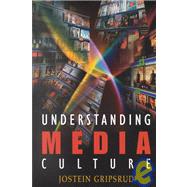Understanding Media Culture