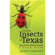 Common Insects of Texas and Surrounding States