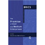 The Promise of Small and Medium Enterprises: BRICS National Systems of Innovation