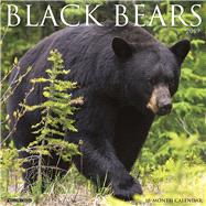 Black Bears 2019 Calendar