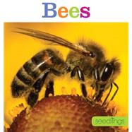 Seedlings: Bees