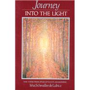Journey into the Light : The Three Principles of Man's Awakening
