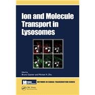 Ion and Molecule Transport in Lysosomes