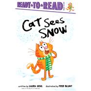 Cat Sees Snow Ready-to-Read Ready-to-Go!