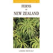 A Photographic Guide To Ferns Of New Zealand