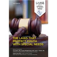 The Laws That Protect Youth With Special Needs