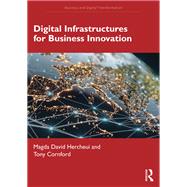 Digital Infrastructures for Business Innovation
