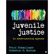 Juvenile Justice,9781544300412
