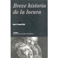 Breve historia de la locura/ A brief history of madness