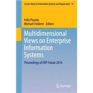 Multidimensional Views on Enterprise Information Systems