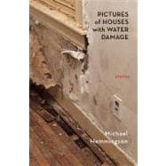 Pictures of Houses With Water Damage: Stories