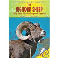 The Bighorn Sheep
