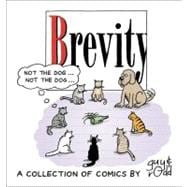 Brevity A Collection of Comics by Guy and Rodd