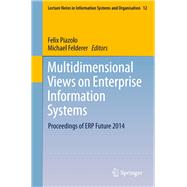 Multidimensional Views on Enterprise Information Systems