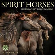 Spirit Horses 2016 Calendar