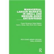 Managerial Labour Markets in Small and Medium-Sized Enterprises