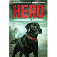 Hurricane Rescue